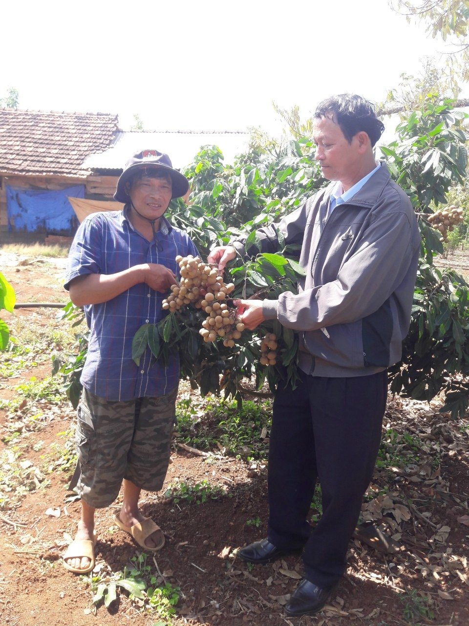 HỘI NÔNG DÂN XÃ KIỂM TRA, GIÁM SÁT NGUỒN VỐN VAY NGÂN HÀNG CHÍNH SÁCH CỦA HỘI VIÊN HỘI NÔNG DÂN XÃ EA KNUÊC